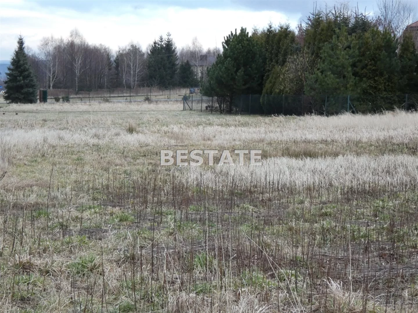 BEST-GS-12396 - zdjęcie nr 1