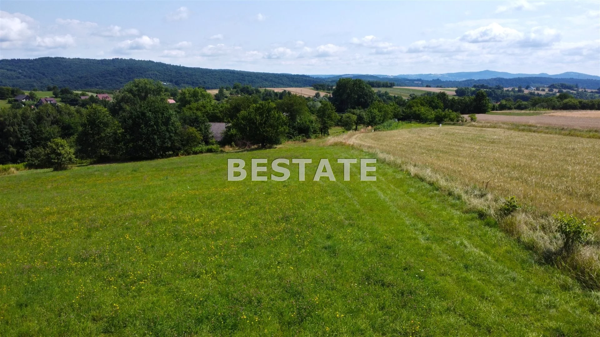 BEST-GS-12586 - zdjęcie nr 0