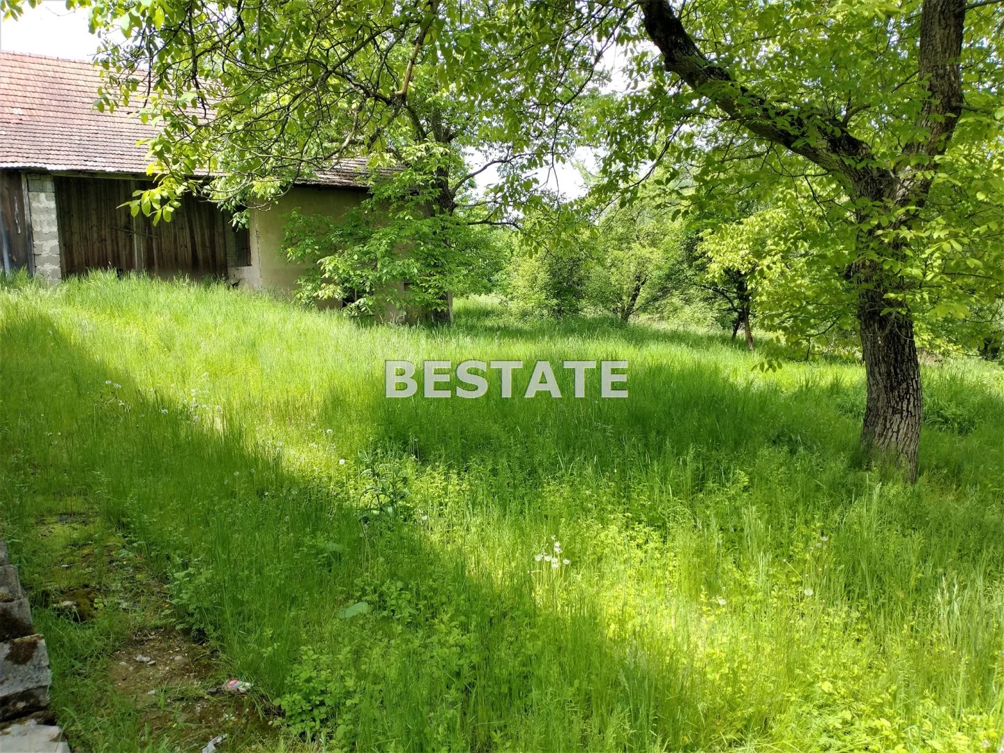 BEST-GS-12586 - zdjęcie nr 2
