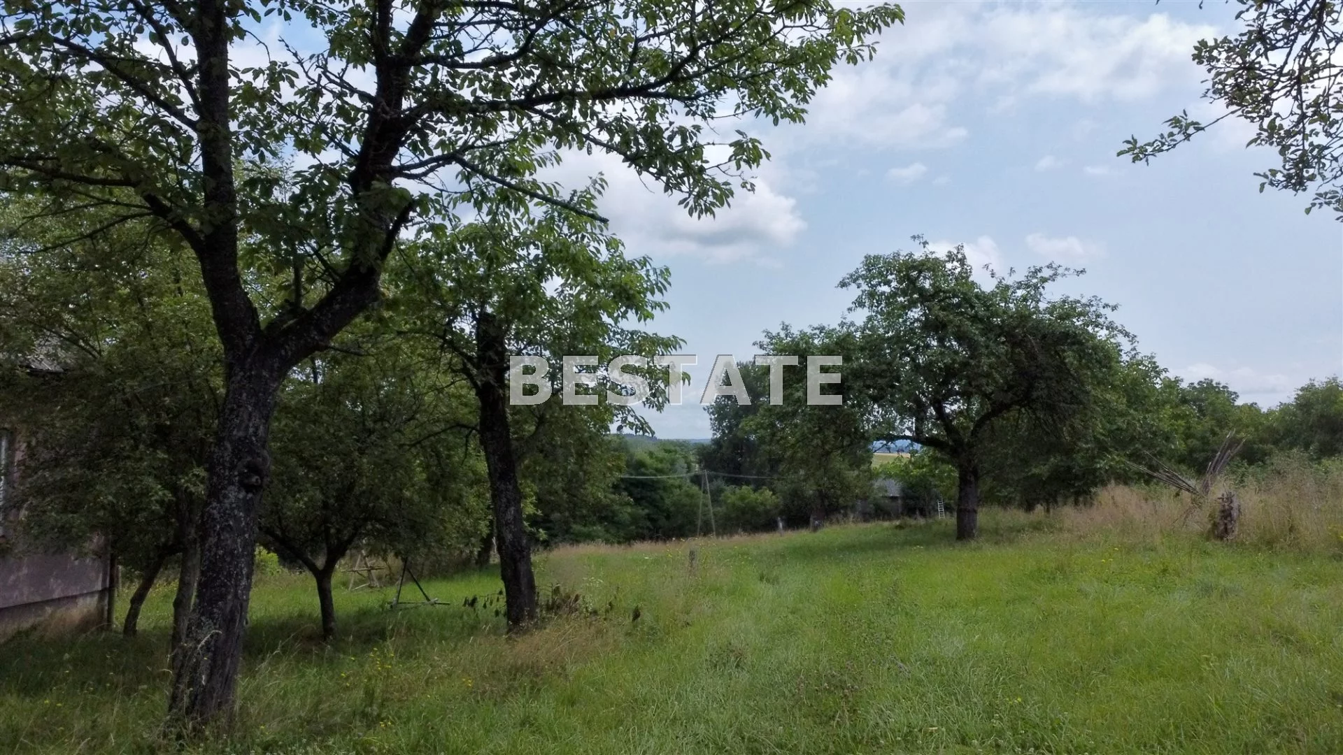 BEST-GS-12586 - zdjęcie nr 3