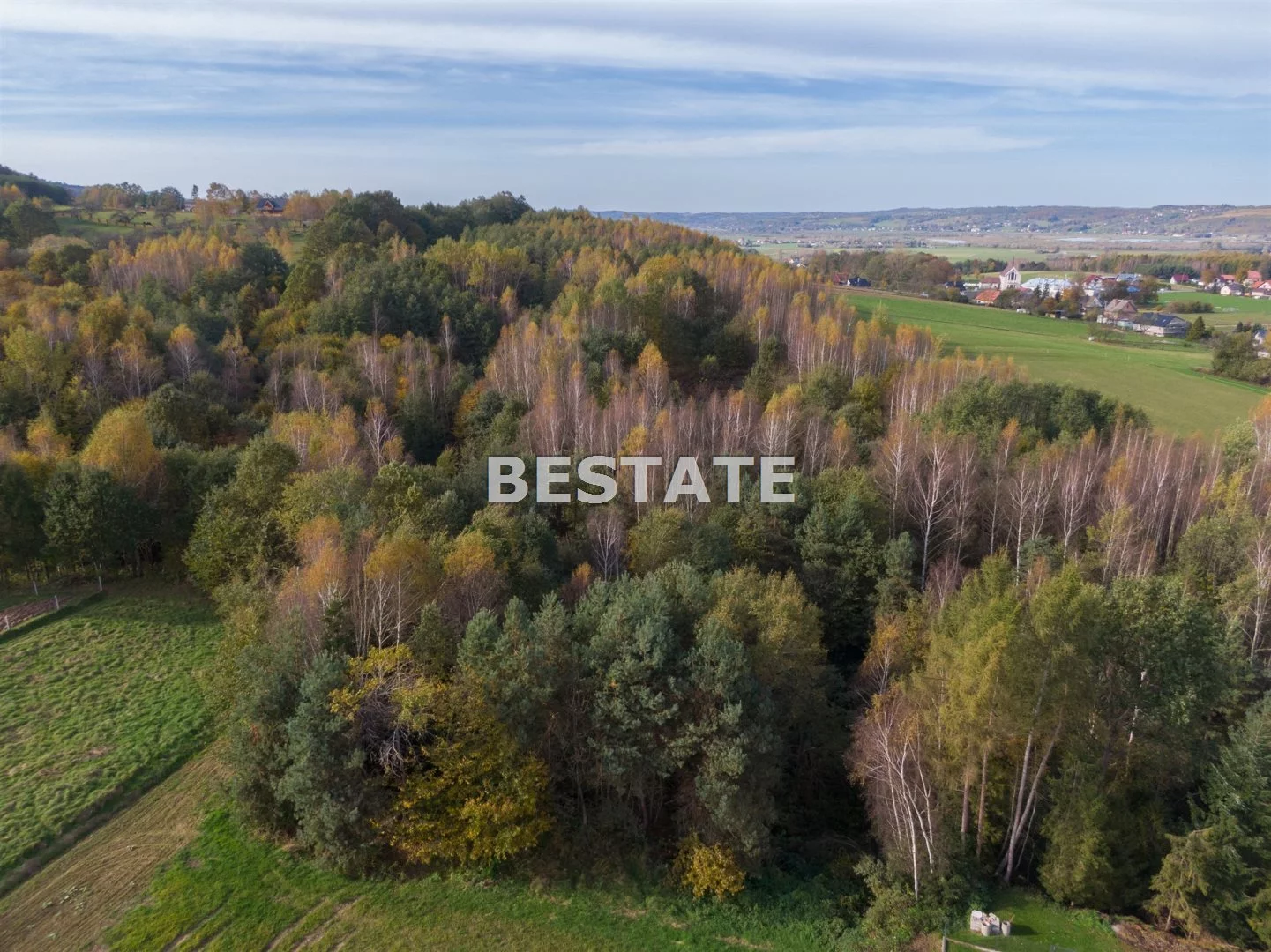 BEST-GS-14220 - zdjęcie nr 3