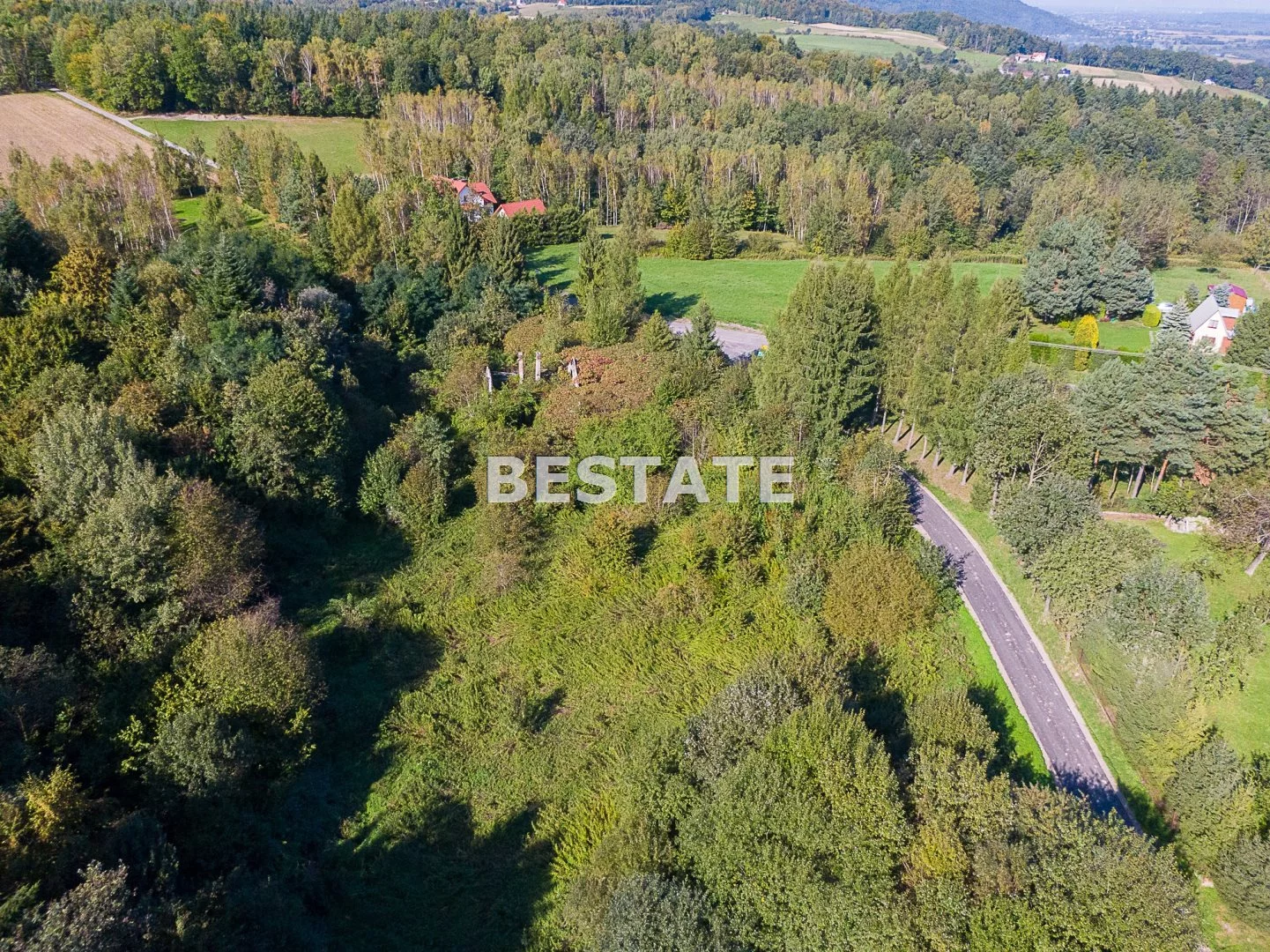 BEST-GS-14838 - zdjęcie nr 4