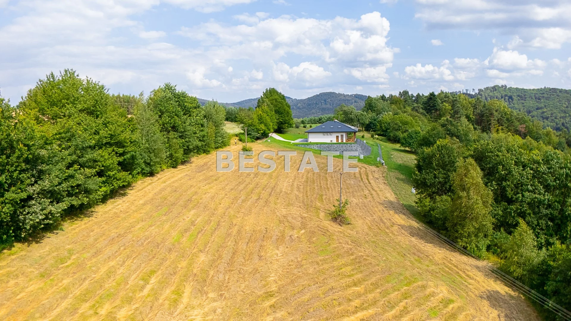BEST-GS-14977 - zdjęcie nr 0