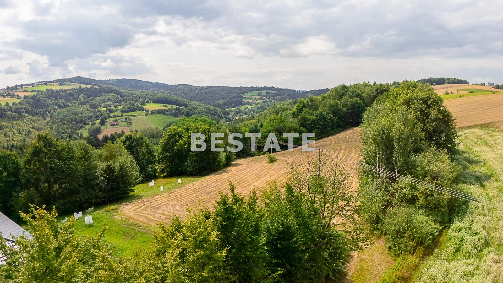 BEST-GS-14977 - zdjęcie nr 1