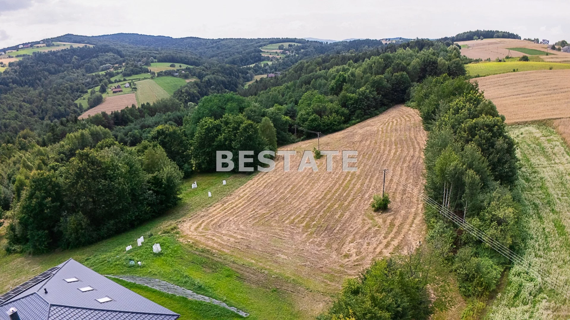 BEST-GS-14977 - zdjęcie nr 2