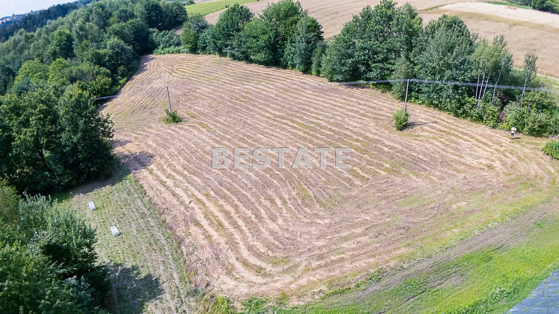 BEST-GS-14977 - zdjęcie nr 3