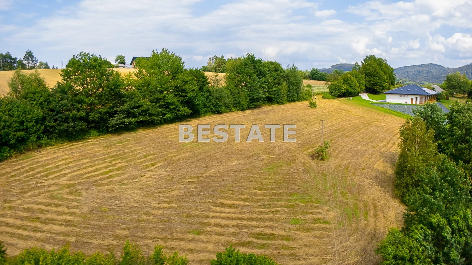 BEST-GS-14977 - zdjęcie nr 4