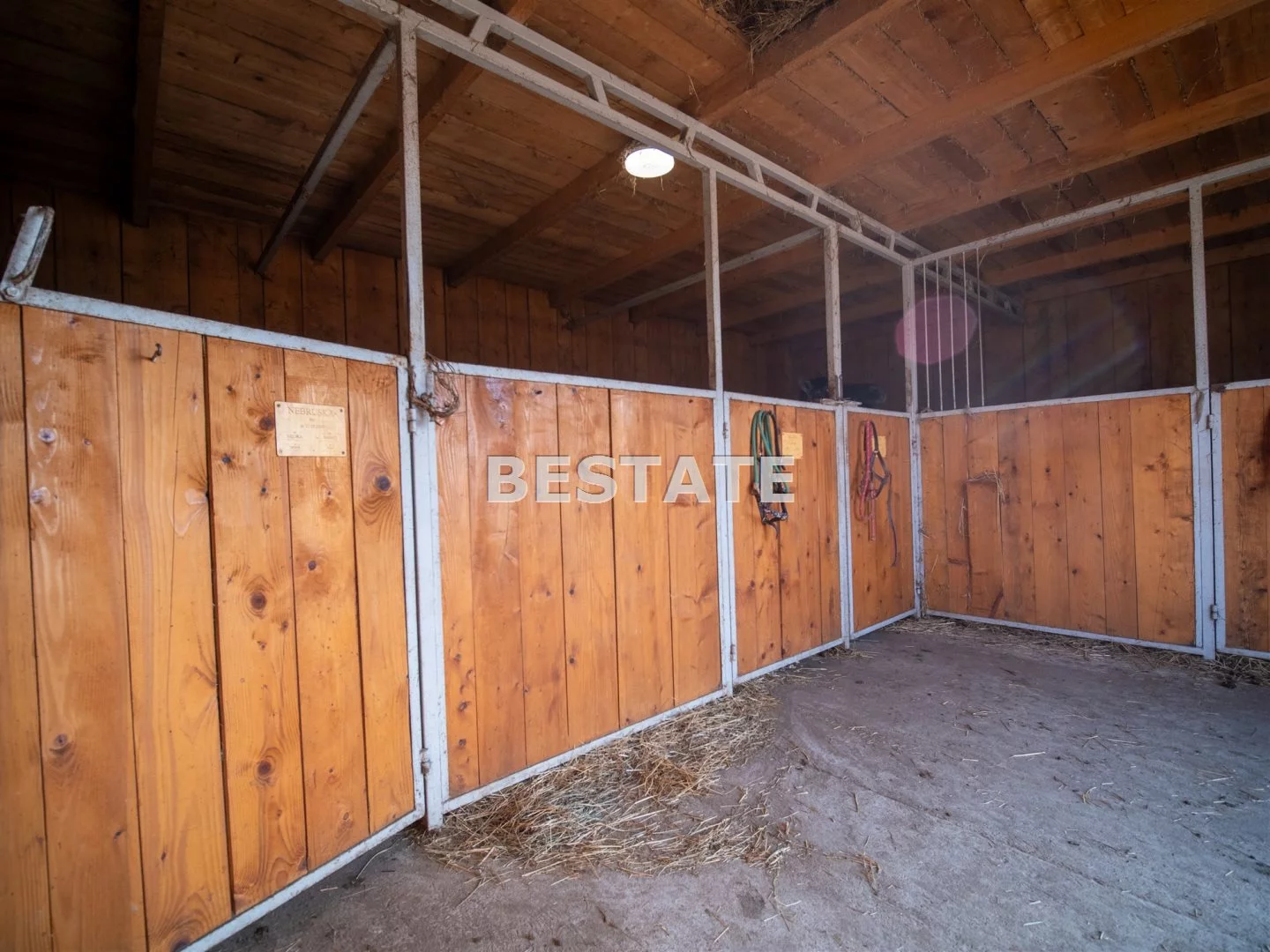 Obiekt 300,00 m², oferta nr , BEST-BS-14744, Pleśna