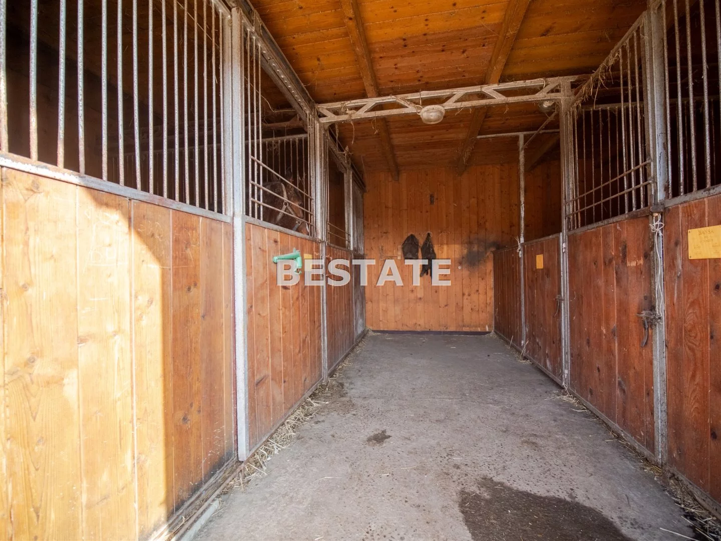 Obiekt 300,00 m², oferta nr , BEST-BS-14744, Pleśna