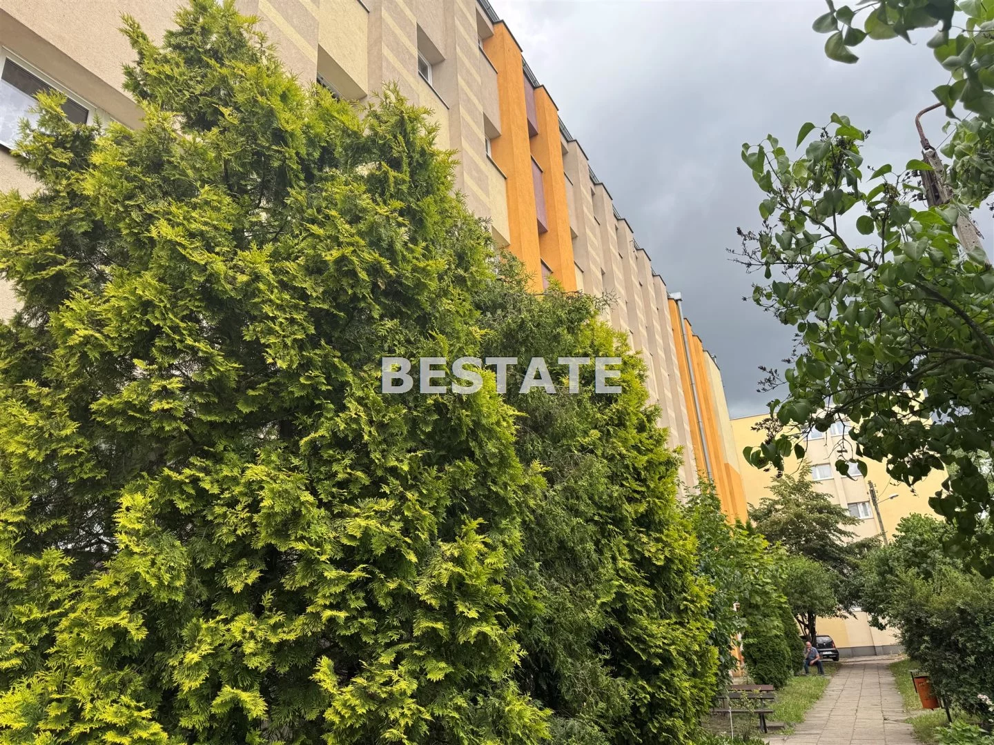 BESP-MS-14989 - zdjęcie nr 4