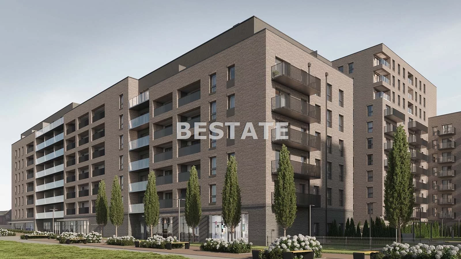 BESP-MS-14697-5 - zdjęcie nr 4