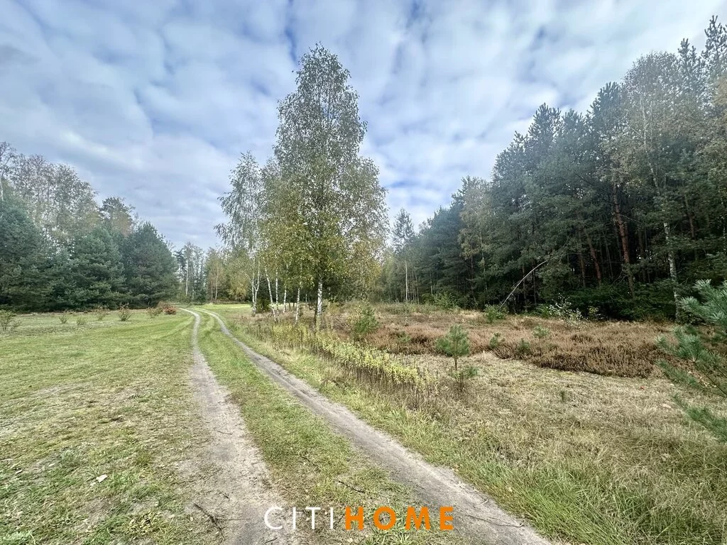 Apartamenty 6812/1969/OGS Karczunek