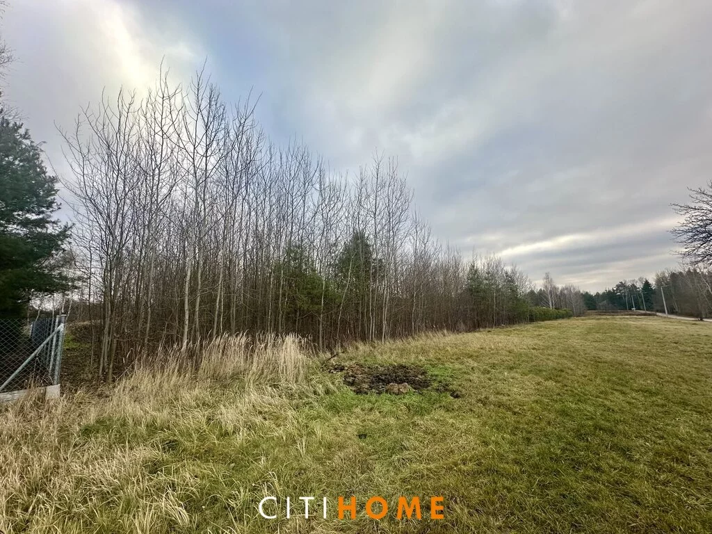 Działka 2 450,00 m², oferta nr , 6971/1969/OGS, Dziechciniec, Miodowa