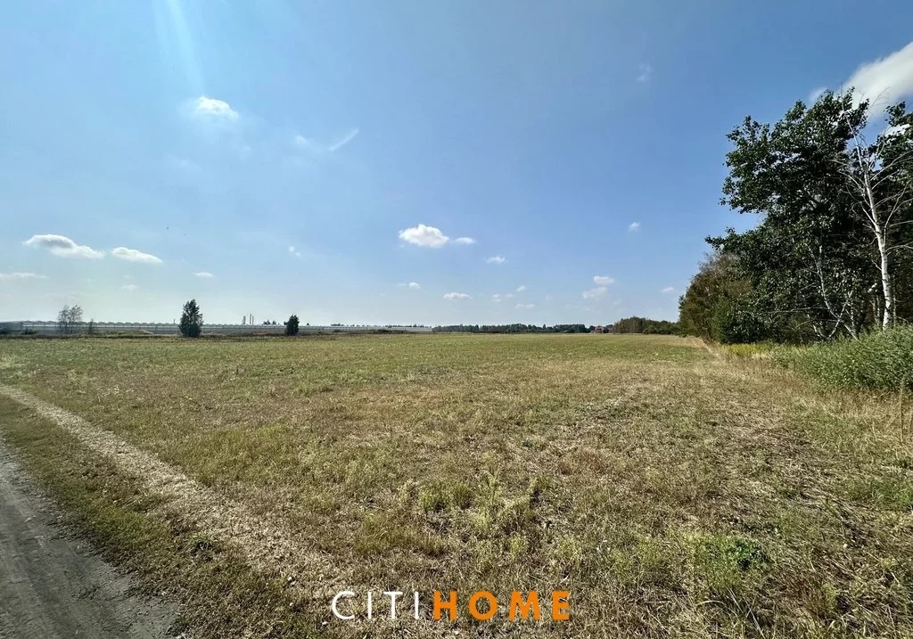 Działka 1 210,00 m², oferta nr , 6991/1969/OGS, Piotrowice