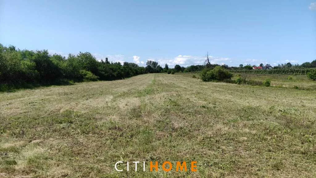 Działka 15 100,00 m², oferta nr , 6934/1969/OGS, Radwanków Szlachecki