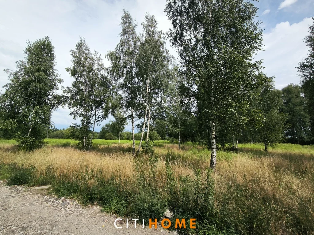 Działka 1 500,00 m², oferta nr , 6957/1969/OGS, Glinianka, Skowronka