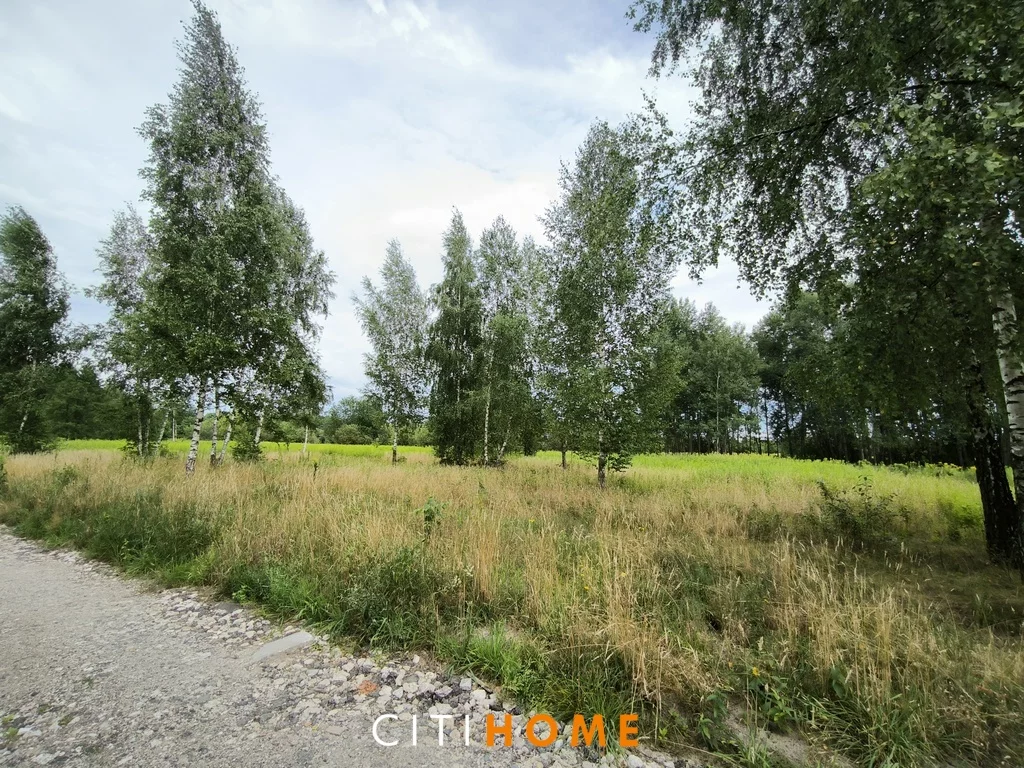 Działka 1 500,00 m², oferta nr , 6957/1969/OGS, Glinianka, Skowronka