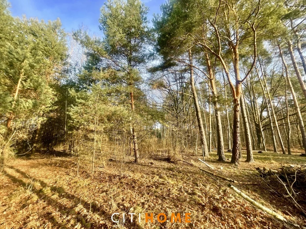 Działka 2 253,00 m², oferta nr , 6870/1969/OGS, Lipowo, Wypoczynkowa