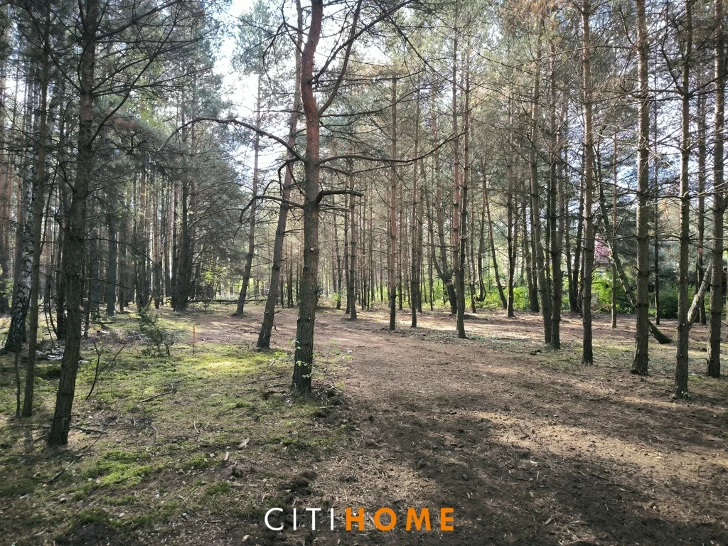 Działka 1 300,00 m², oferta nr , 6984/1969/OGS, Malcanów, Żwirowa