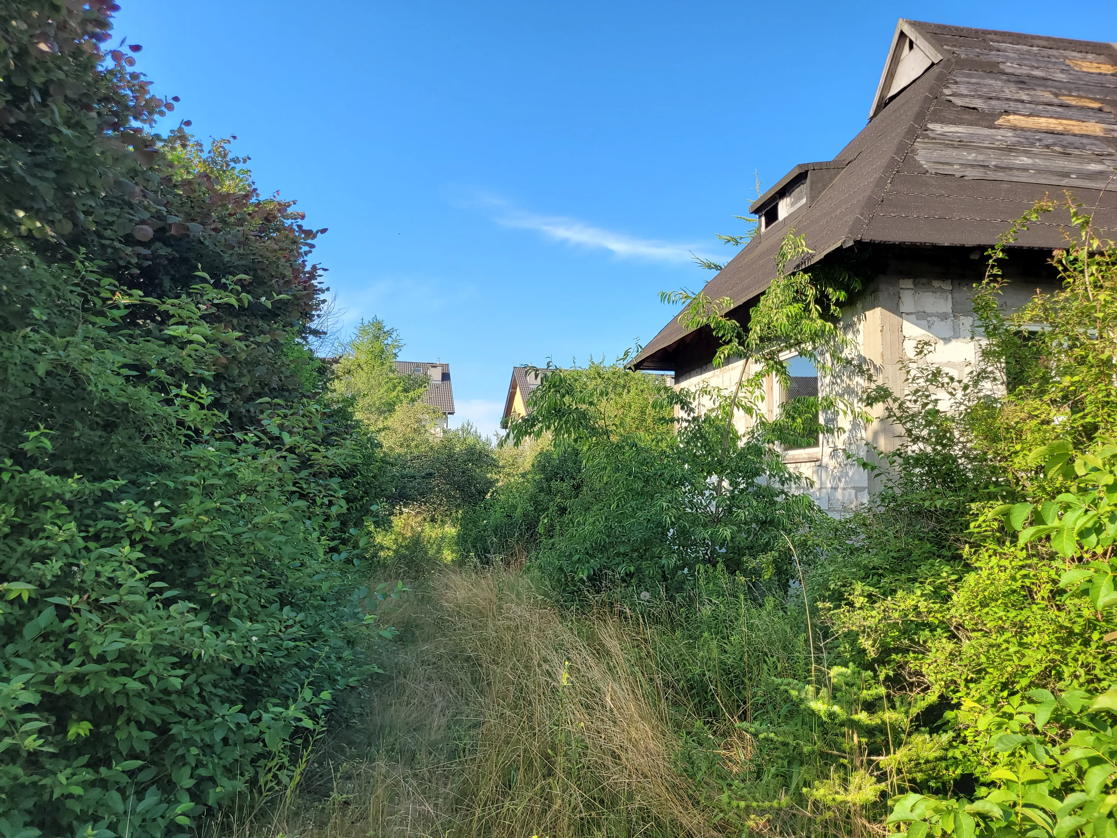 10232740 - zdjęcie nr 1