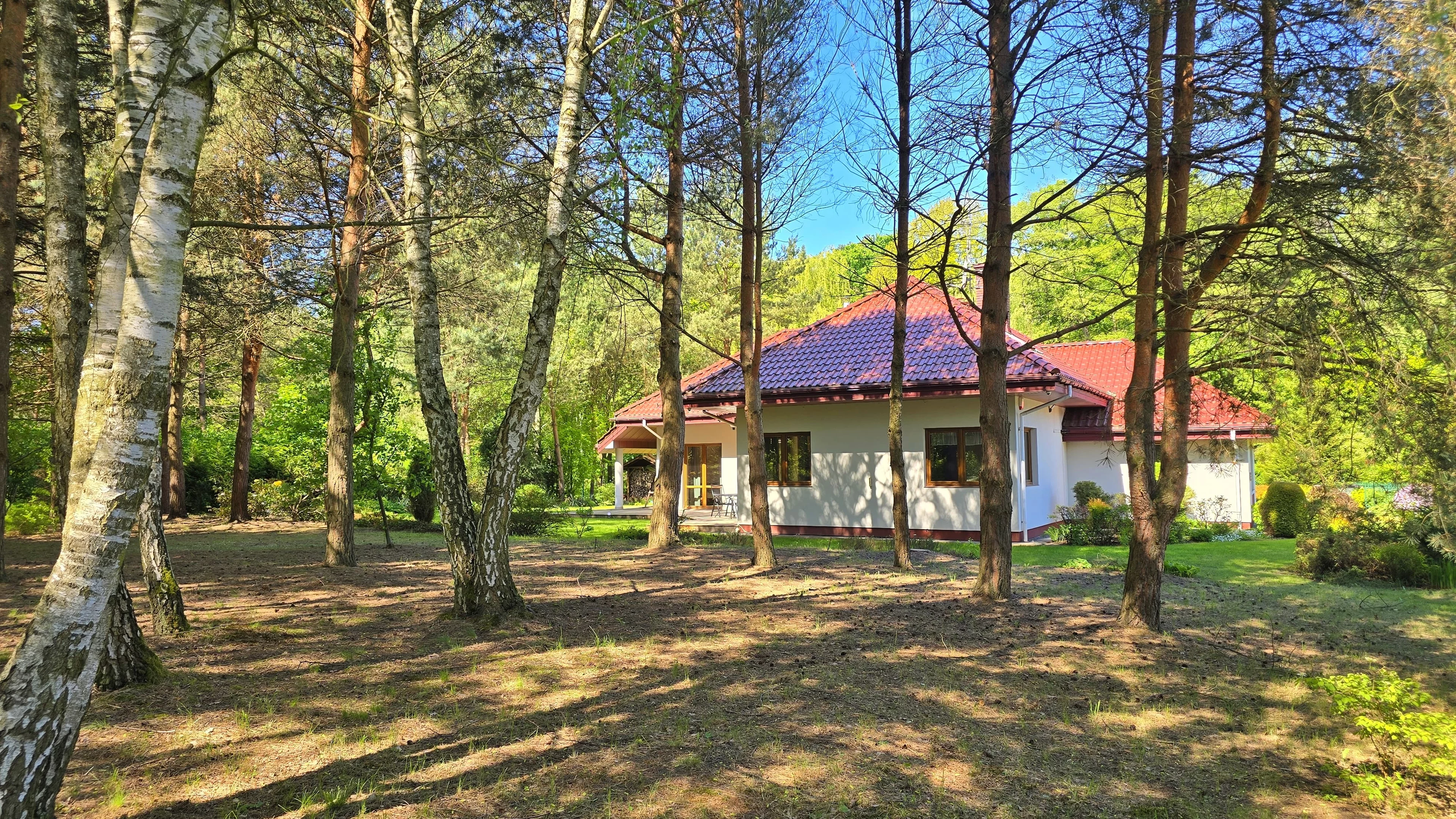 10236458 - zdjęcie nr 3