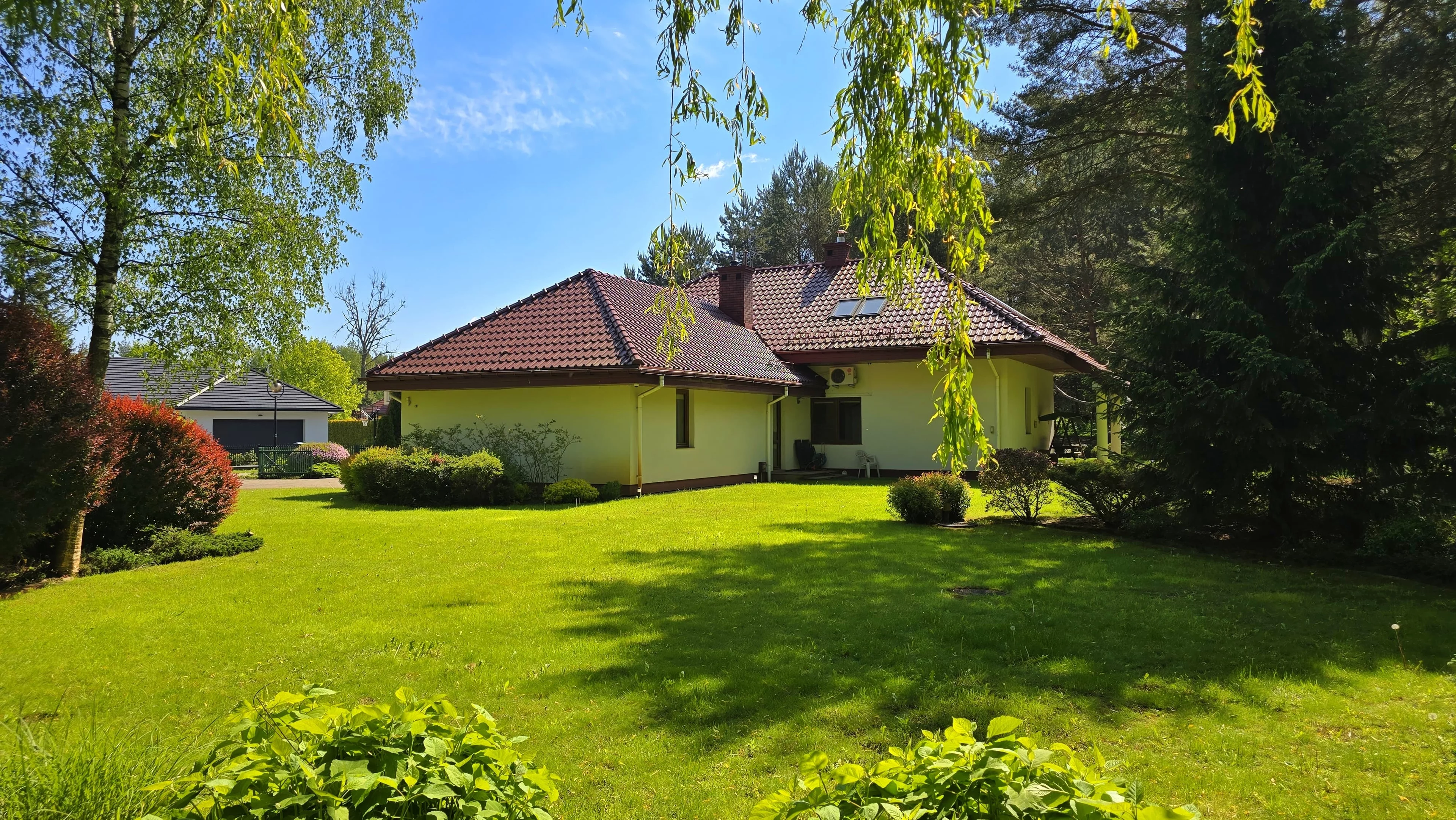 10236458 - zdjęcie nr 4