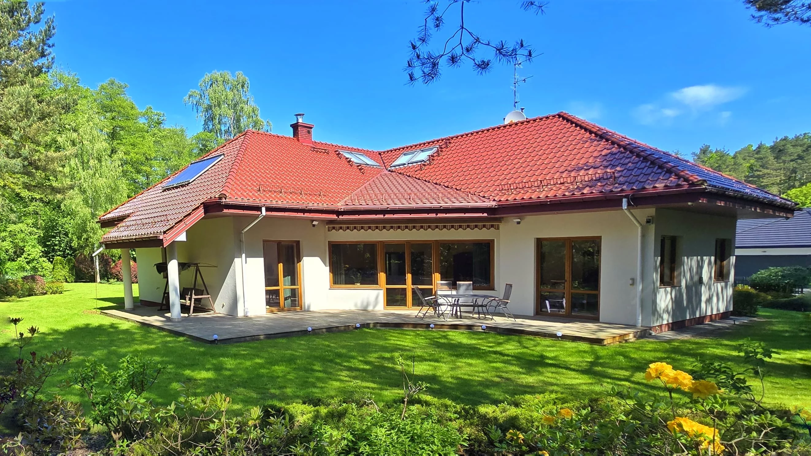 10236458 - zdjęcie nr 2