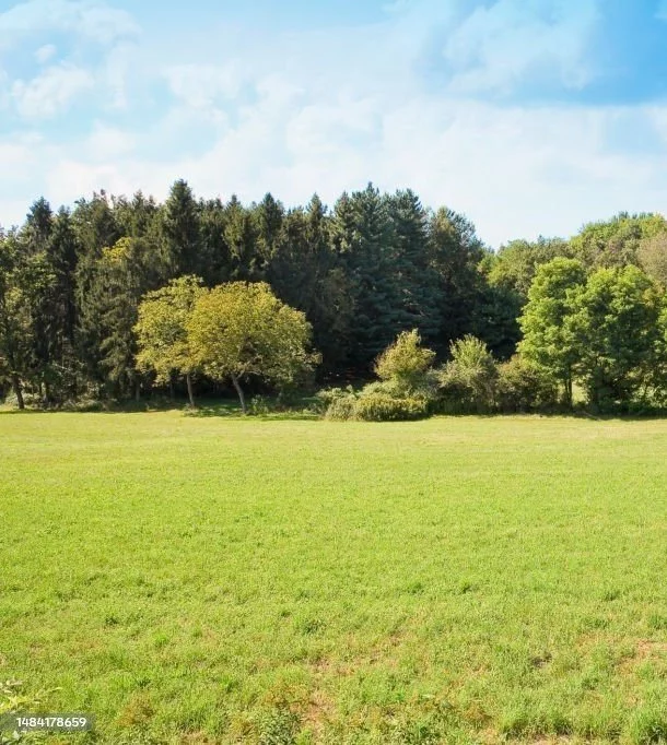 Apartamenty INVS-GS-75 Halinów