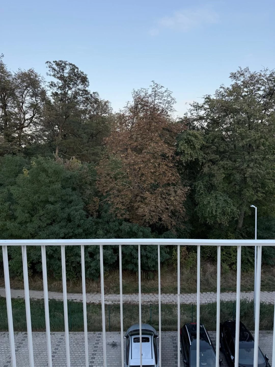 3 pokoje, mieszkanie 53,00 m², piętro 3, oferta nr , INVS-MS-109, Lesznowola