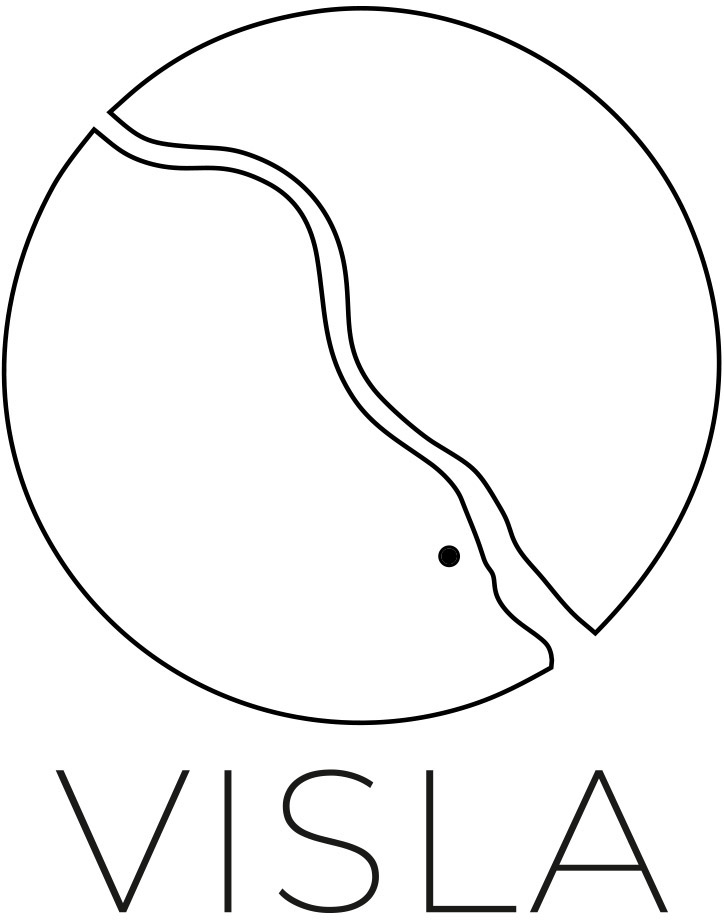 Visla