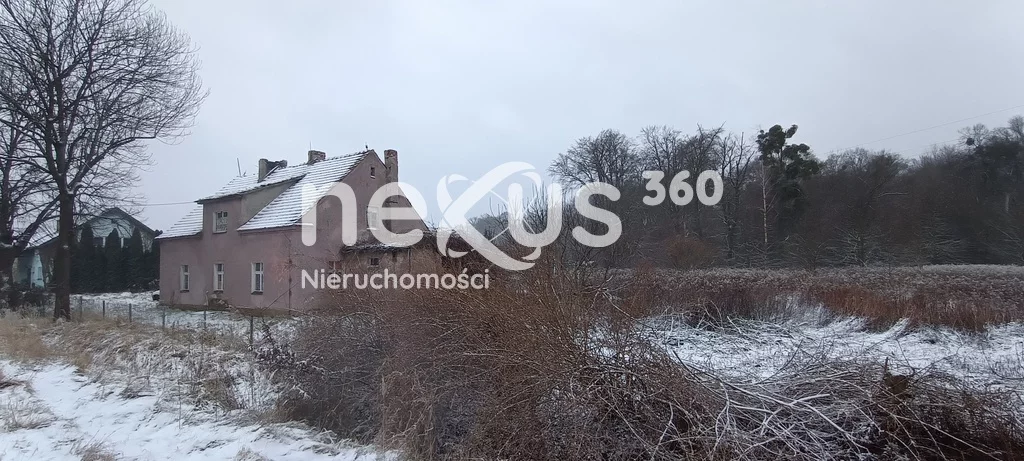 Działka 7 000,00 m², oferta nr , 23/17137/OGS, Borowa