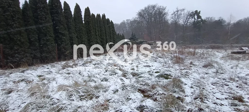 Działka 7 000,00 m², oferta nr , 23/17137/OGS, Borowa