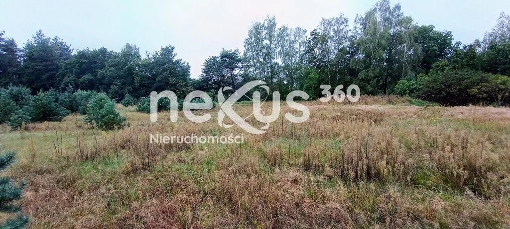 Działka 3 568,00 m², oferta nr , 12/17137/OGS, Domasławice