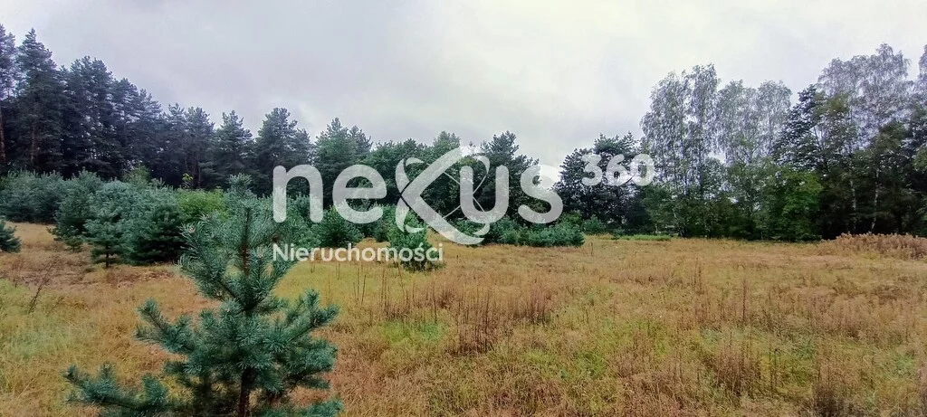 Działka 3 568,00 m², oferta nr , 12/17137/OGS, Domasławice