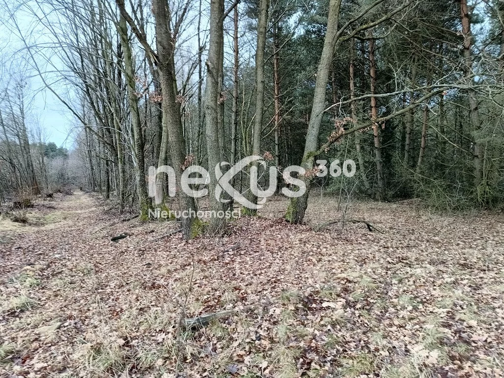 Apartamenty 27/17137/OGS Drogoszowice