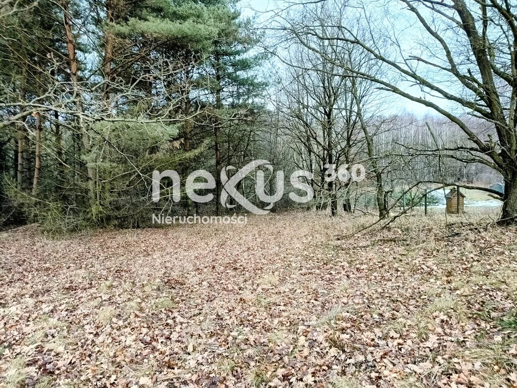 Działka 15 000,00 m², oferta nr , 27/17137/OGS, Drogoszowice