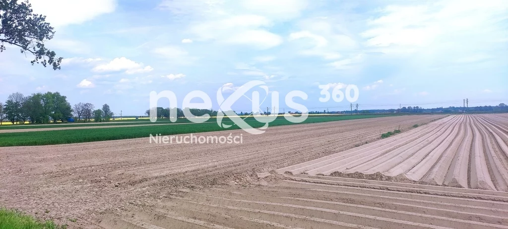 Apartamenty 10/17137/OGS Oleśnica