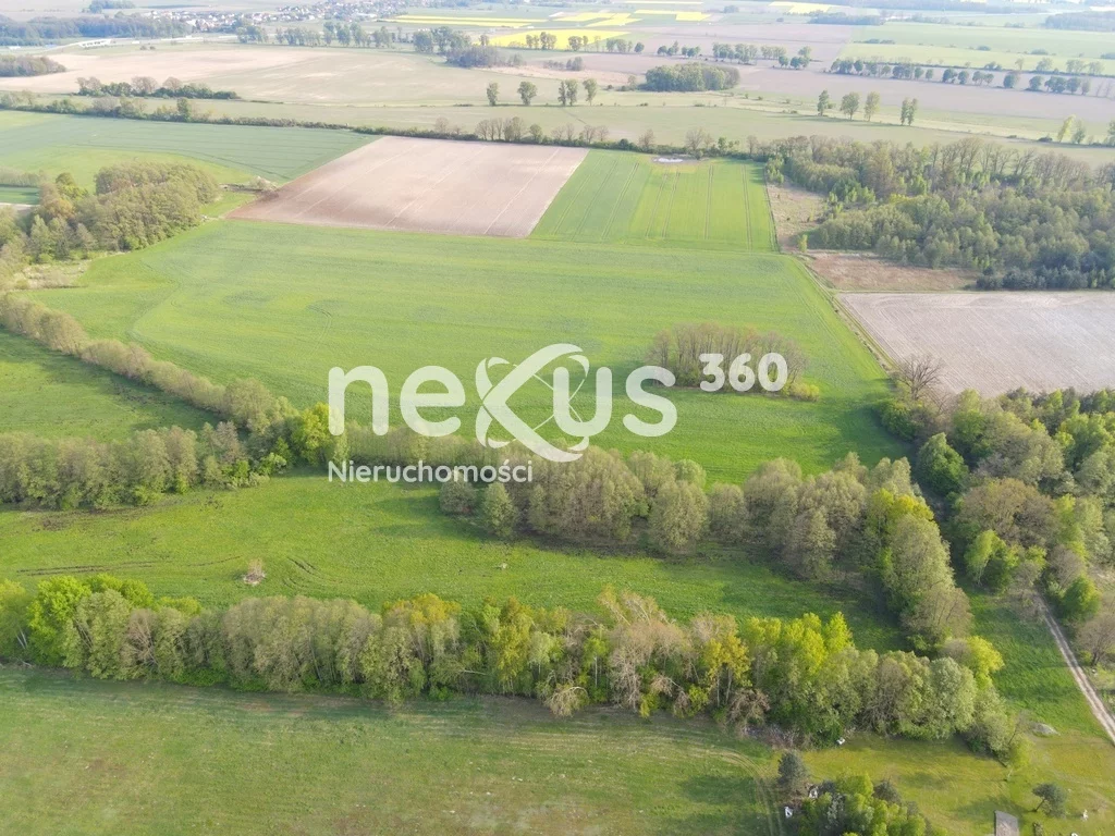 Działka 17 839,00 m², oferta nr , 5/17137/OGS, Ostrowina
