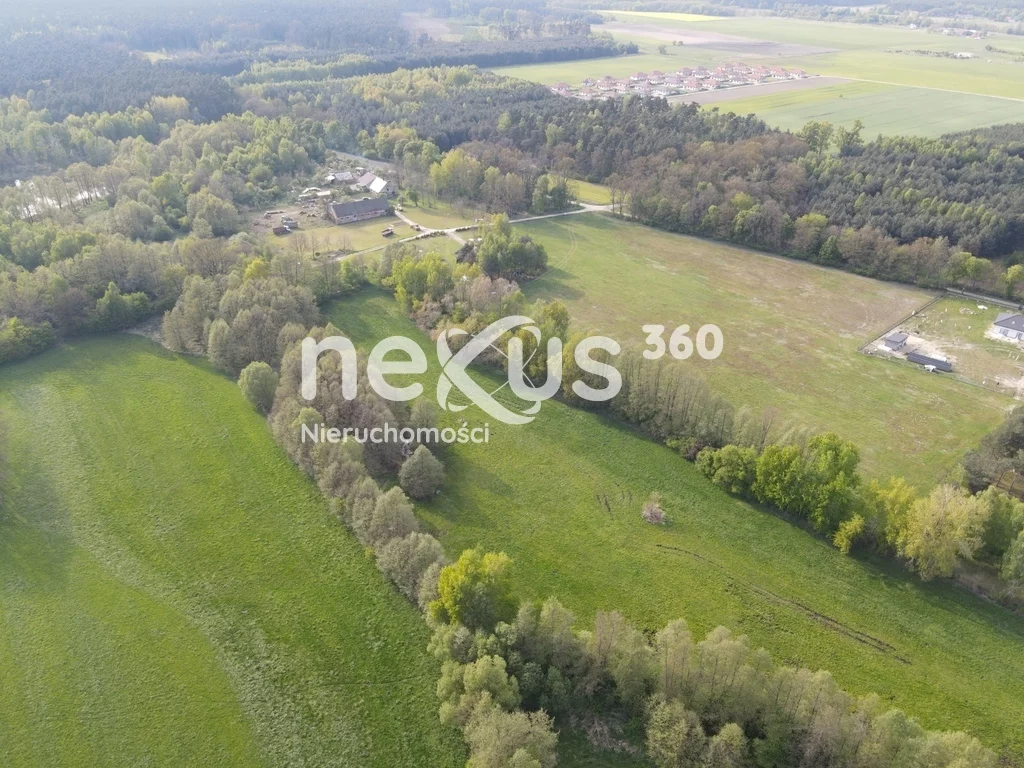 Działka 17 839,00 m², oferta nr , 5/17137/OGS, Ostrowina
