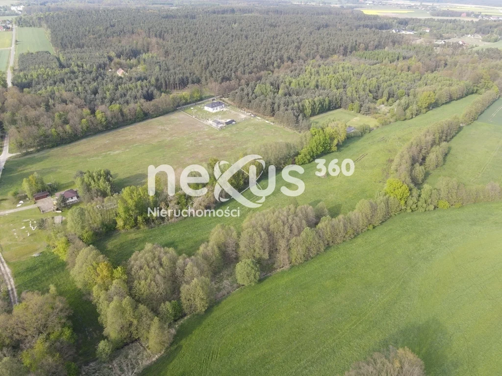 Działka 17 839,00 m², oferta nr , 5/17137/OGS, Ostrowina