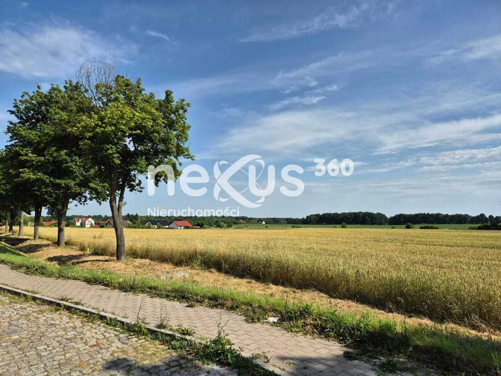 Działka 1 000,00 m², oferta nr , 42/17137/OGS, Proszków