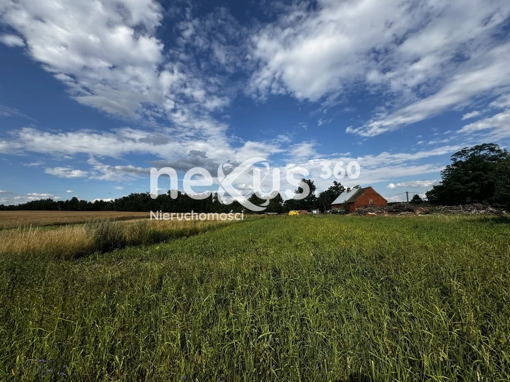 Działka 5 324,00 m², oferta nr , 17/17137/OGS, Sądrożyce