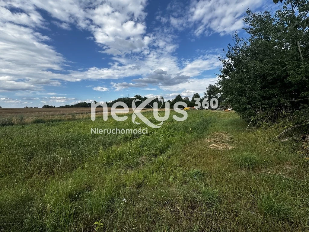 Działka 5 324,00 m², oferta nr , 17/17137/OGS, Sądrożyce