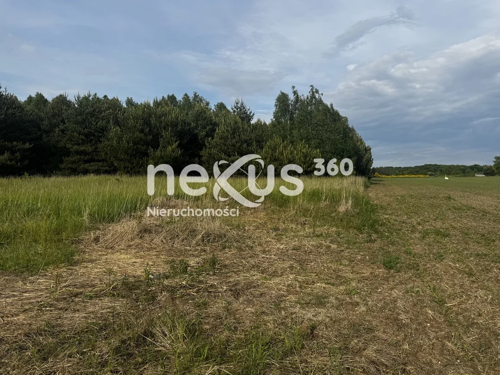 Działka 30 018,00 m², oferta nr , 47/17137/OGS, Sądrożyce