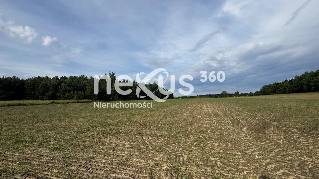 Działka 30 018,00 m², oferta nr , 47/17137/OGS, Sądrożyce