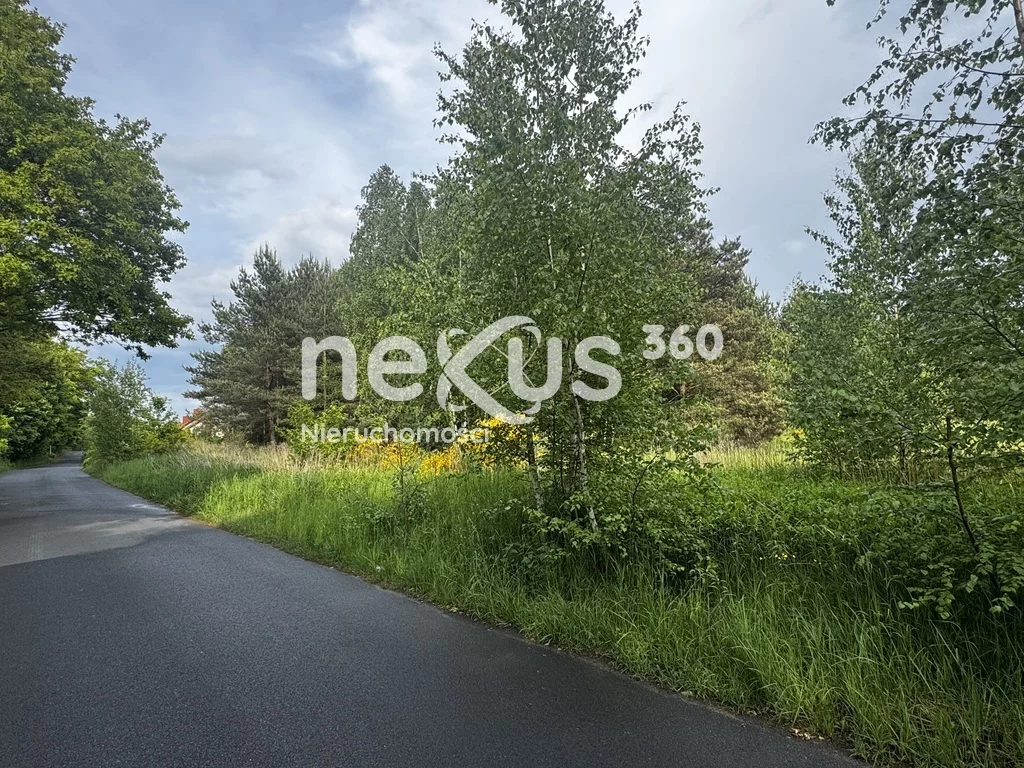 Działka 30 018,00 m², oferta nr , 47/17137/OGS, Sądrożyce