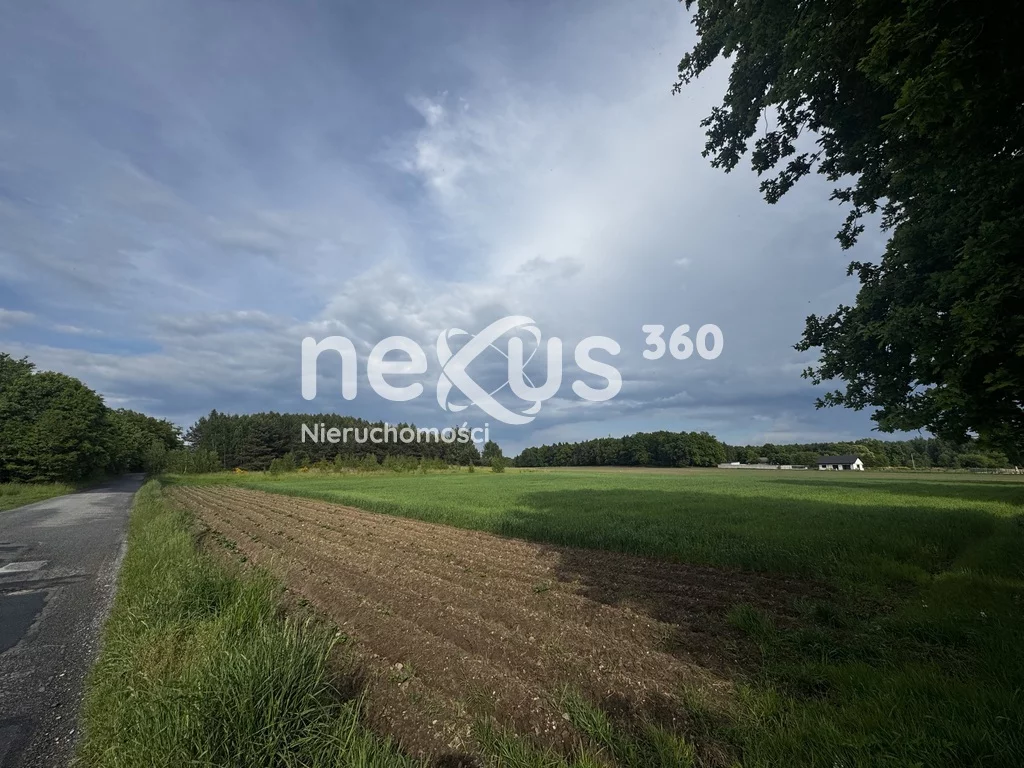 Działka 30 018,00 m², oferta nr , 47/17137/OGS, Sądrożyce