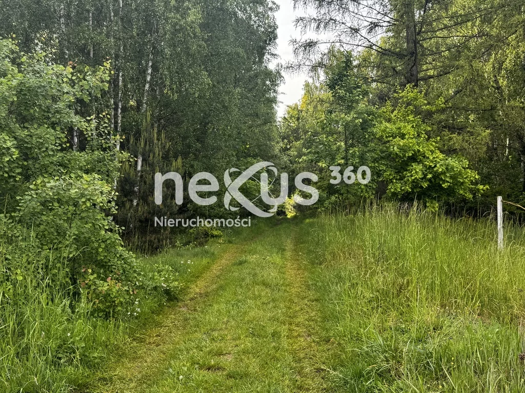 Działka 30 018,00 m², oferta nr , 47/17137/OGS, Sądrożyce