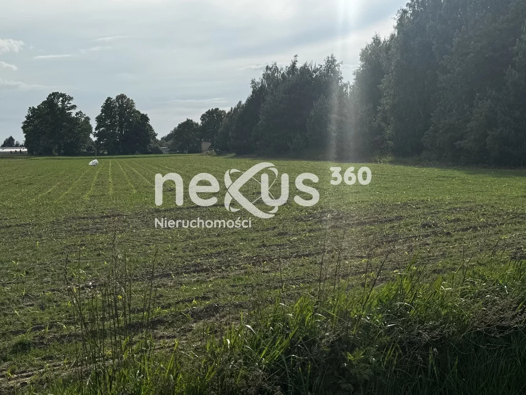 Działka 30 018,00 m², oferta nr , 47/17137/OGS, Sądrożyce