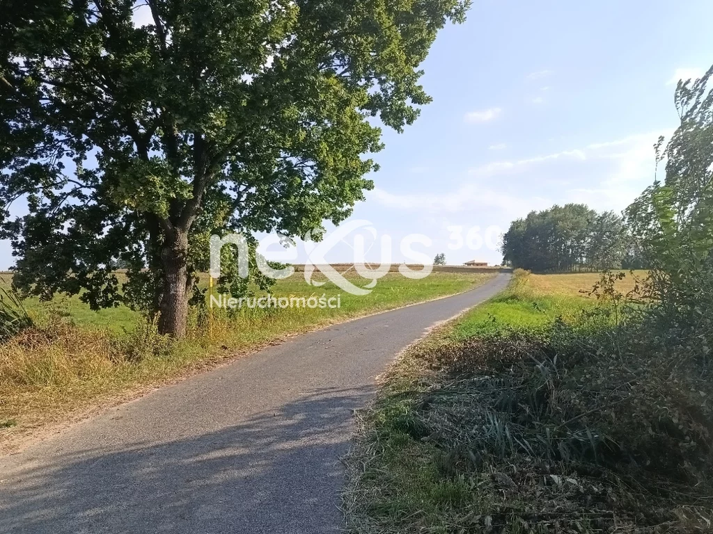 Działka 1 227,00 m², oferta nr , 49/17137/OGS, Sądrożyce